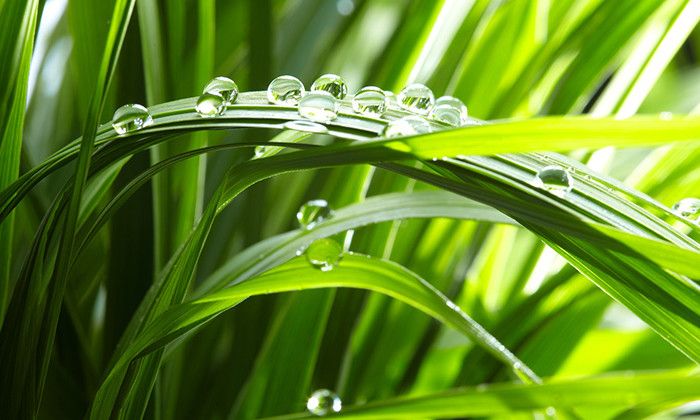 Fertighäuser von Bärenhaus